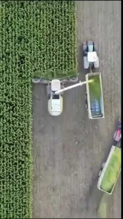 Smooth harvest operation