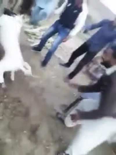 Man gets stuck in the rotating shaft of the tractor shaft while dogs fight.