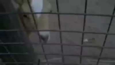 На случай важных переговоров