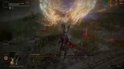 Sorry, Crucible Knight. I'm the boss here. Hhahaah