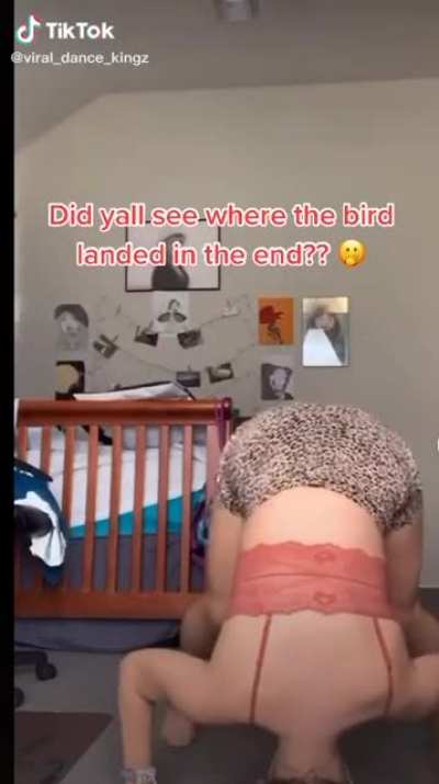 Bahahahaha what a smart bird