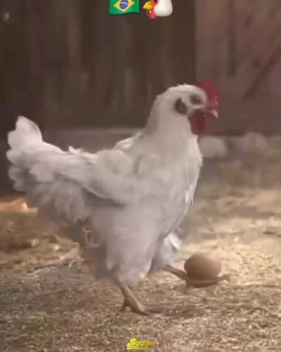 Los Pollos en Brazil