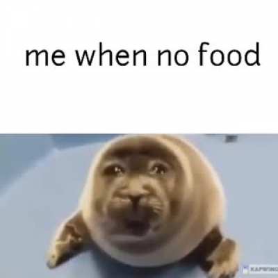 me hungy :(
