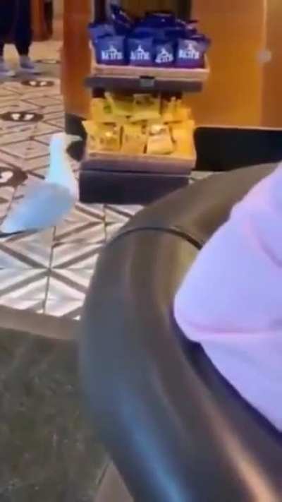 Maybe maybe maybe