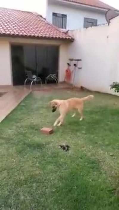 bricks are SO FUN
