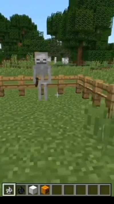 Minecraft...WTF?