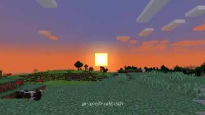 Minecraft