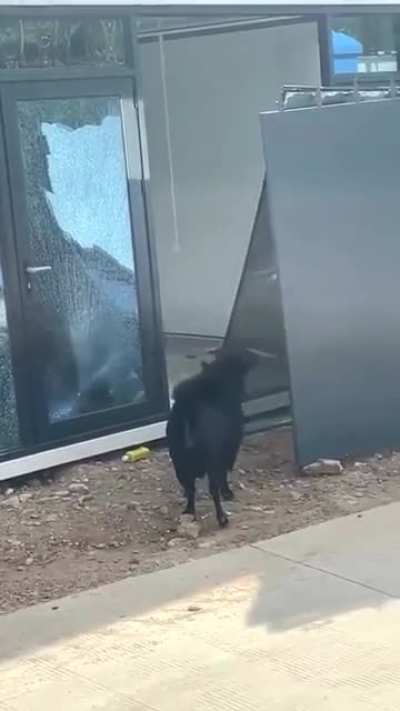 Hey!!!!! Do you have five minutes to talk about satan?