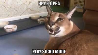 floppa is sexy