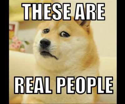 Doge joined the army