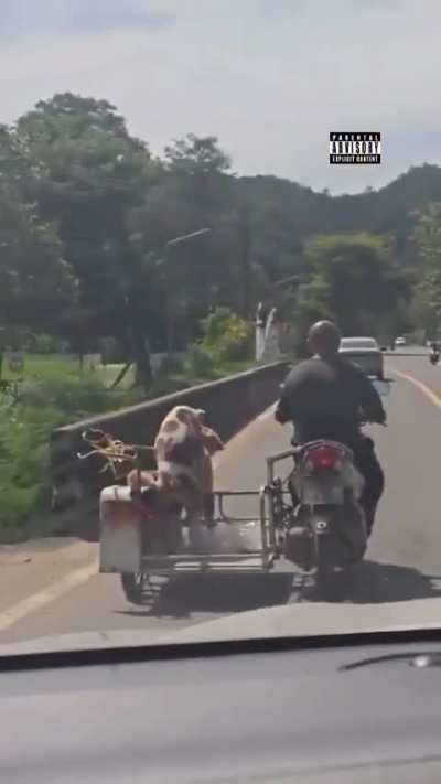 My fellow Redditors I present you with a crazy 