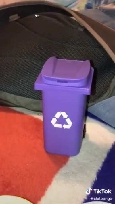 Rip