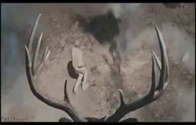 Hunt the deer before the deer hunts you