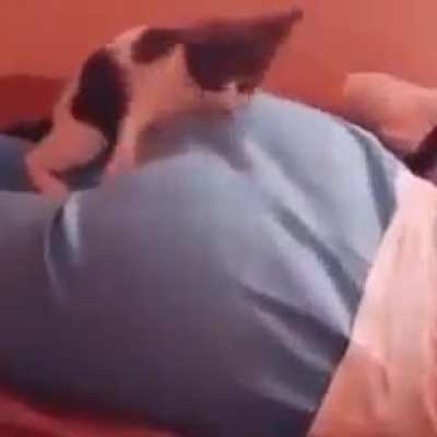 Monch monch.