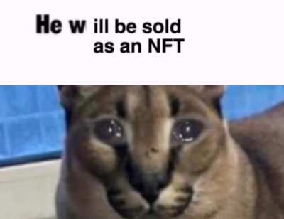 How could they