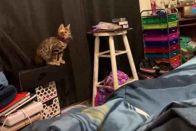 Maths of my Bengal