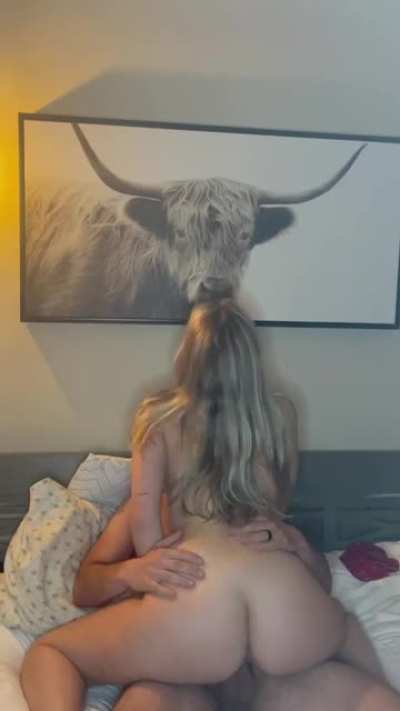 Think the highland coo is judging us?🤣 (OC)