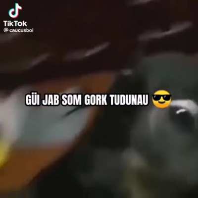 . . .