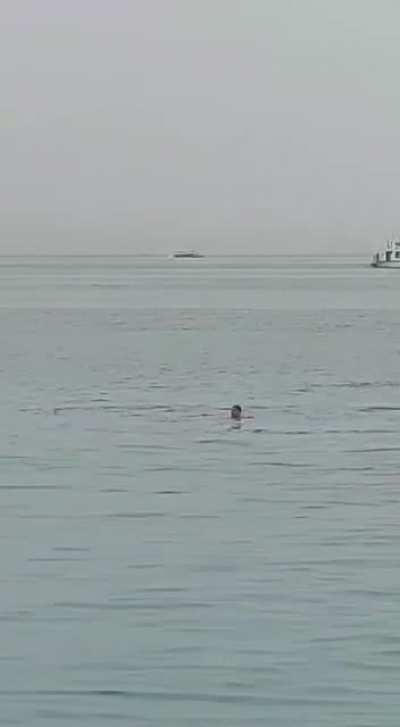 (CAREFUL: Graphic Content) Shark Attacks Russian Tourist in Hurghada, Egypt on June 8th, 2023
