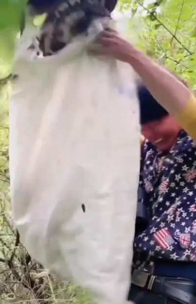 Camera man stays there just chilling with the friendly bees