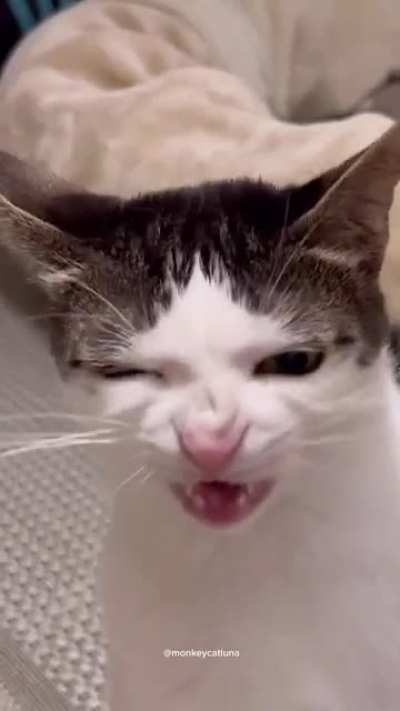 She cronch