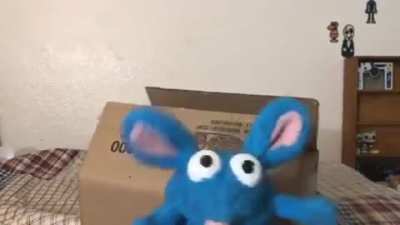 Package In The Mail