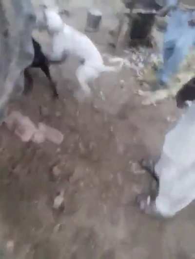 see till end