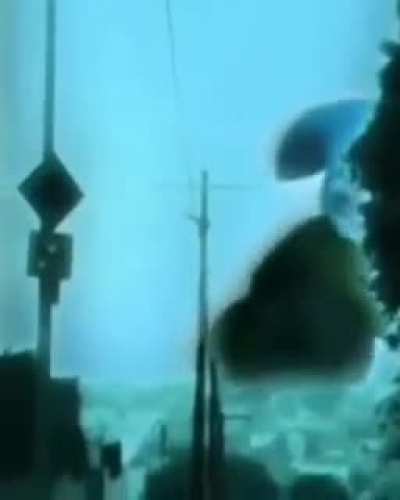 Gsiren Head