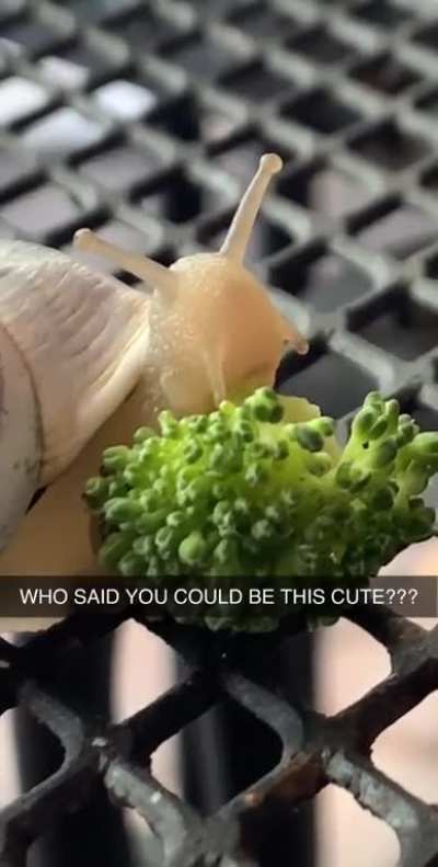 Chomping down on some broccoli