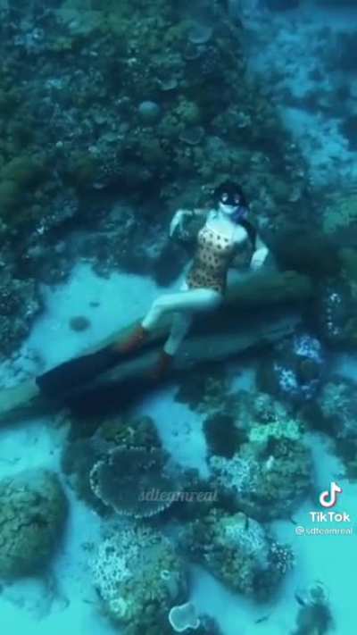 Diving