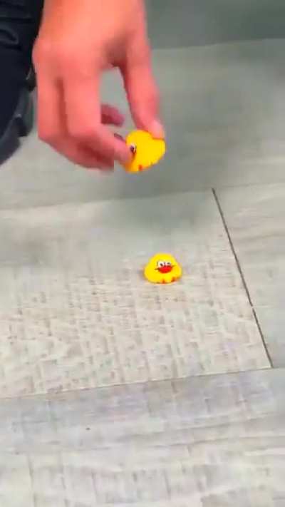 Quackception