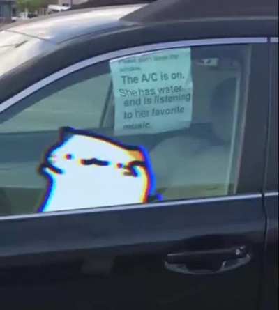 Me when I listen to Sewerslvt in the car