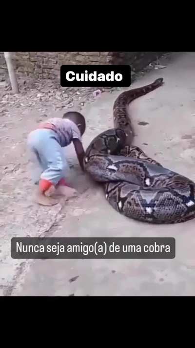 Baby playing with Anaconda in favelas, Rio de Janeiro