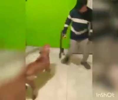 Que tienen en comun los perros de Ecatepec y Neza? Aqui tienen la respuesta. Ahora son maestros del machete ademas de los chacos!