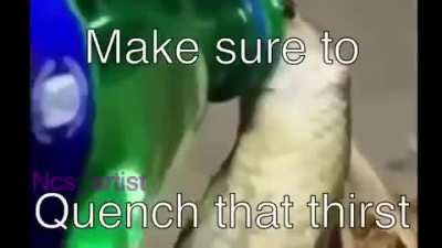 SNEK