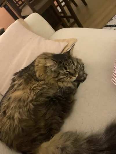 Luna has chirps for anyone who tries to wake her