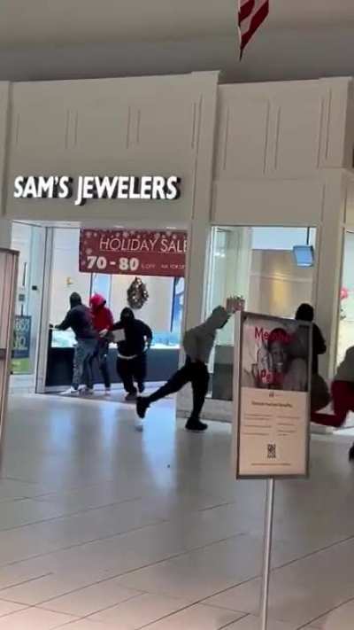 A mob of thugs robs a jewelry store at the mall