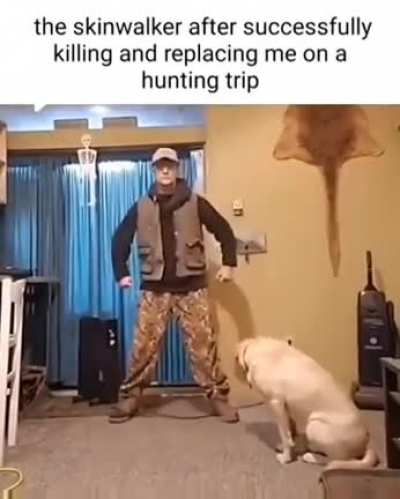 Man robotically petting and dancing for dog
