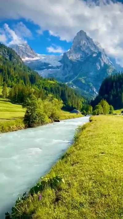 Swiss Countryside