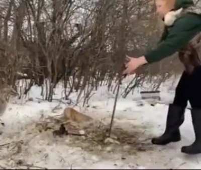 Освобождение киски