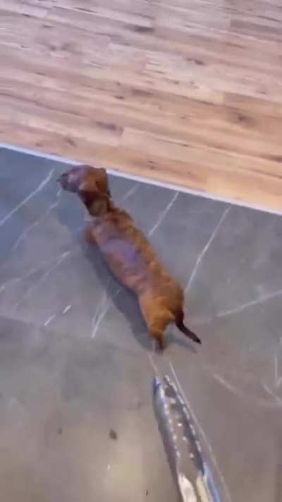 the sausage is not cooperating..