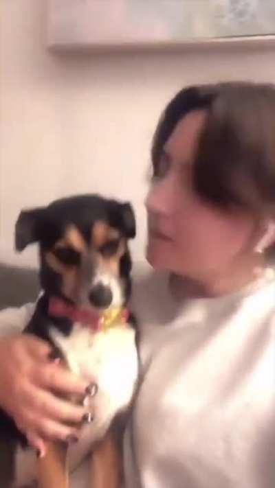 Beije seu doguinho