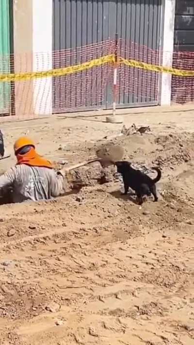 Teamwork