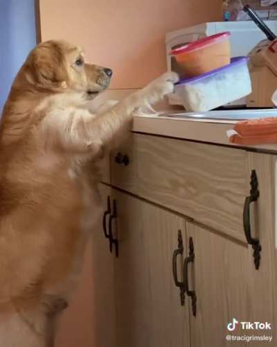 Caught in the act