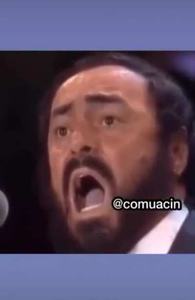 Баяни<wbr>стый баян