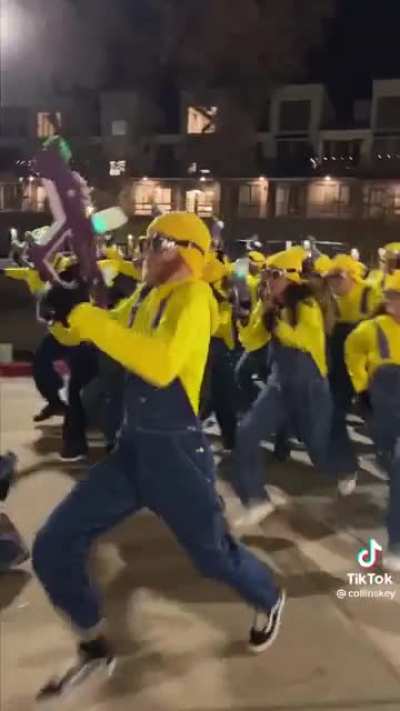 Minions