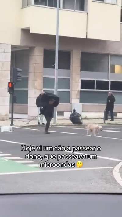 Foi tudo passear hoje...