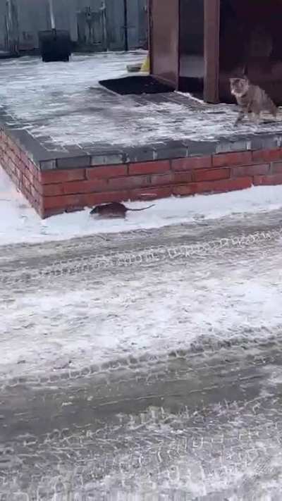 Maybe Maybe Maybe