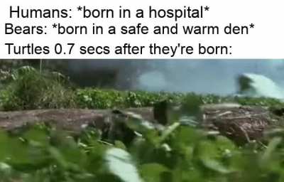 It is literal hell during their birth