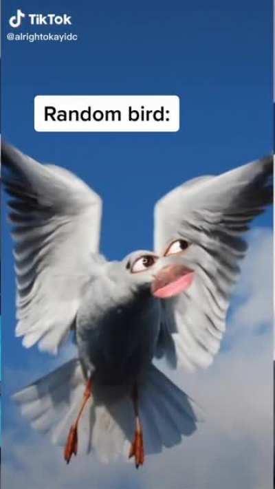 💀